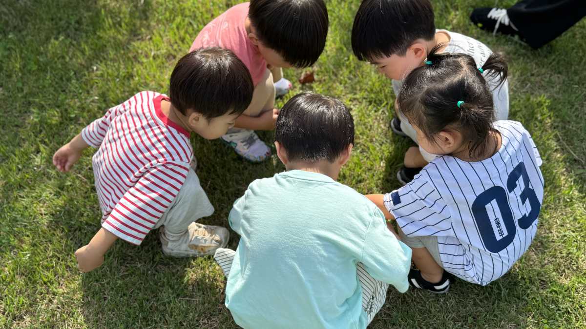 Mantova vista da un lago, con bambini che giocano in primo piano